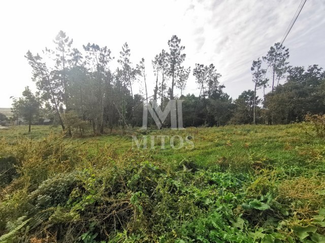 Terreno R�stico - Vila Nova de Anha, Viana do Castelo, Viana do Castelo - Imagem grande