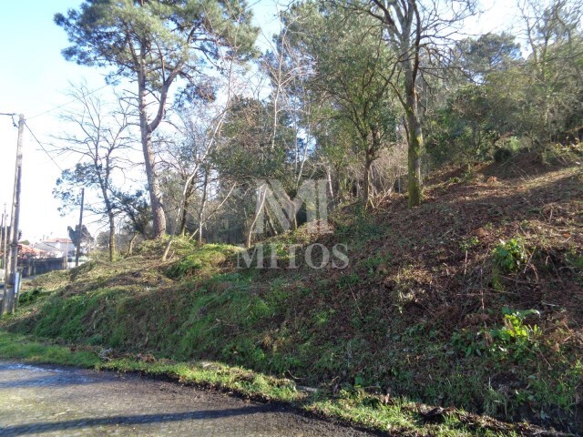 Terreno R�stico - Darque, Viana do Castelo, Viana do Castelo - Imagem grande