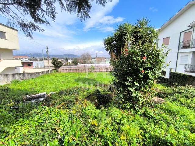 Terreno R�stico - Darque, Viana do Castelo, Viana do Castelo - Imagem grande
