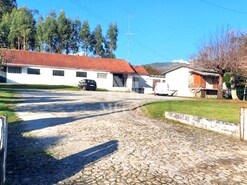 Armaz�m - Durr�es, Barcelos, Braga