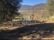 Terreno R�stico - Ref�ios do Lima, Ponte de Lima, Viana do Castelo - Miniatura: 2/9