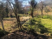 Terreno R�stico - Ref�ios do Lima, Ponte de Lima, Viana do Castelo - Miniatura: 5/9