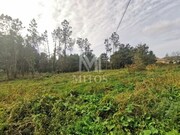Terreno R�stico - Vila Nova de Anha, Viana do Castelo, Viana do Castelo - Miniatura: 1/6