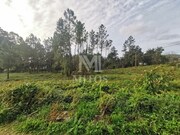 Terreno R�stico - Vila Nova de Anha, Viana do Castelo, Viana do Castelo - Miniatura: 3/6