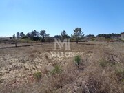 Terreno R�stico - Chaf�, Viana do Castelo, Viana do Castelo - Miniatura: 2/5