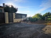 Terreno R�stico - Antas, Esposende, Braga - Miniatura: 3/5