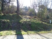 Terreno R�stico - Darque, Viana do Castelo, Viana do Castelo - Miniatura: 1/5