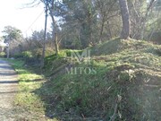 Terreno R�stico - Darque, Viana do Castelo, Viana do Castelo - Miniatura: 2/5