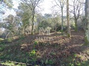 Terreno R�stico - Darque, Viana do Castelo, Viana do Castelo - Miniatura: 3/5