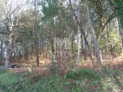 Moradia T3 - Vilar de Mouros, Caminha, Viana do Castelo - Miniatura: 4/6