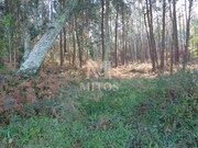 Moradia T3 - Vilar de Mouros, Caminha, Viana do Castelo - Miniatura: 5/6