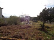 Terreno R�stico - Vila de Punhe, Viana do Castelo, Viana do Castelo - Miniatura: 1/2