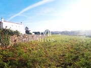 Terreno R�stico - Antas, Esposende, Braga - Miniatura: 5/5