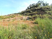 Terreno Urbano - Barroselas, Viana do Castelo, Viana do Castelo - Miniatura: 5/7