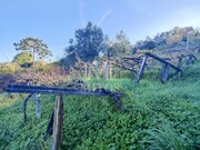 Terreno R�stico - Gondar, Caminha, Viana do Castelo - Miniatura: 8/9