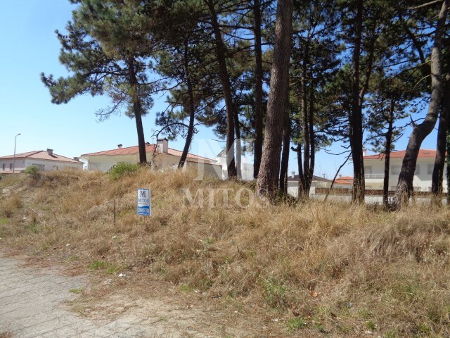 Terreno Urbano - Chaf�, Viana do Castelo, Viana do Castelo - Imagem grande