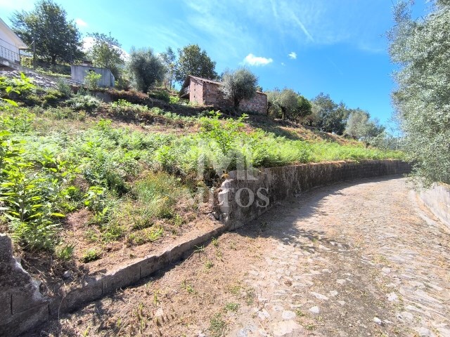 Terreno R�stico - Subportela, Viana do Castelo, Viana do Castelo - Imagem grande
