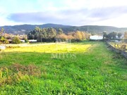 Terreno R�stico - Durr�es, Barcelos, Braga - Miniatura: 8/9