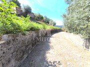 Terreno R�stico - Subportela, Viana do Castelo, Viana do Castelo - Miniatura: 1/9