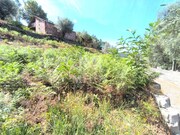 Terreno R�stico - Subportela, Viana do Castelo, Viana do Castelo - Miniatura: 2/9