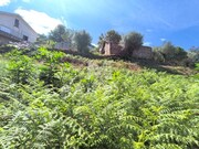 Terreno R�stico - Subportela, Viana do Castelo, Viana do Castelo - Miniatura: 3/9