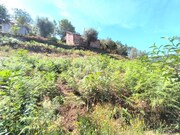 Terreno R�stico - Subportela, Viana do Castelo, Viana do Castelo - Miniatura: 4/9