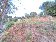 Terreno R�stico - Subportela, Viana do Castelo, Viana do Castelo - Miniatura: 8/9