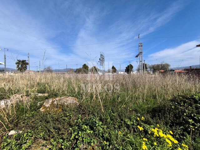 Outros - Darque, Viana do Castelo, Viana do Castelo - Imagem grande