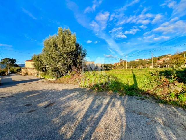 Terreno R�stico - Subportela, Viana do Castelo, Viana do Castelo - Imagem grande