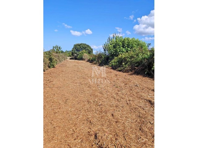 Terreno R�stico - Cardielos, Viana do Castelo, Viana do Castelo - Imagem grande