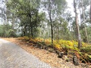 Terreno R�stico - Quinti�es, Barcelos, Braga