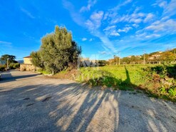 Terreno R�stico - Subportela, Viana do Castelo, Viana do Castelo