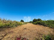Terreno R�stico - Cardielos, Viana do Castelo, Viana do Castelo