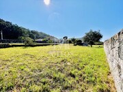 Terreno R�stico - Areosa, Viana do Castelo, Viana do Castelo - Miniatura: 4/9