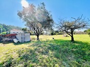 Terreno R�stico - Areosa, Viana do Castelo, Viana do Castelo - Miniatura: 7/9