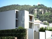 Terreno R�stico - Santa Maria Maior, Viana do Castelo, Viana do Castelo - Miniatura: 6/7