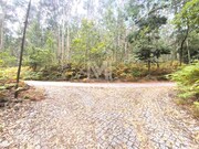 Terreno R�stico - Quinti�es, Barcelos, Braga - Miniatura: 4/9