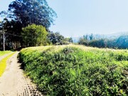 Terreno R�stico - Durr�es, Barcelos, Braga - Miniatura: 3/9