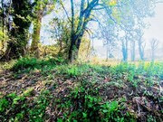Terreno R�stico - Durr�es, Barcelos, Braga - Miniatura: 8/9