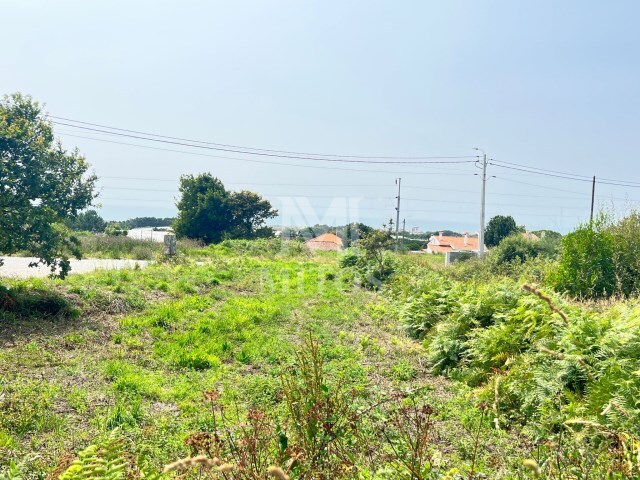 Terreno R�stico - Carre�o, Viana do Castelo, Viana do Castelo - Imagem grande