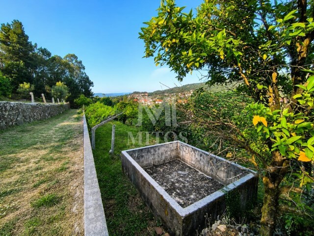 Terreno R�stico - Subportela, Viana do Castelo, Viana do Castelo - Imagem grande