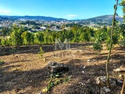 Terreno R�stico - Durr�es, Barcelos, Braga