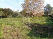 Terreno R�stico - Vila de Punhe, Viana do Castelo, Viana do Castelo - Miniatura: 8/9