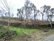 Terreno R�stico - Durr�es, Barcelos, Braga - Miniatura: 1/9