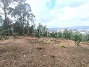 Terreno R�stico - Durr�es, Barcelos, Braga - Miniatura: 2/9