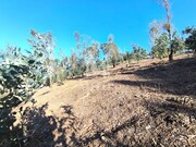 Terreno R�stico - Durr�es, Barcelos, Braga - Miniatura: 4/9