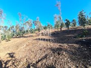 Terreno R�stico - Durr�es, Barcelos, Braga - Miniatura: 7/9