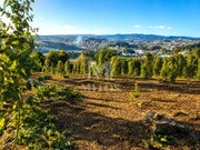 Terreno R�stico - Durr�es, Barcelos, Braga - Miniatura: 1/8