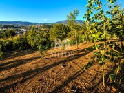 Terreno R�stico - Durr�es, Barcelos, Braga - Miniatura: 6/8