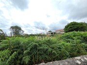 Terreno R�stico - Darque, Viana do Castelo, Viana do Castelo - Miniatura: 2/5